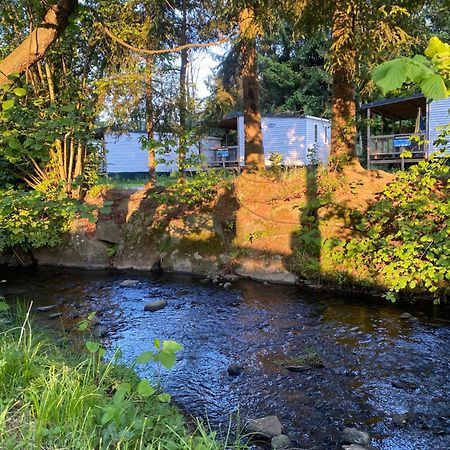 S-Chalet Camping Mit Comfort Im Schwarzwald Steinach  Eksteriør billede