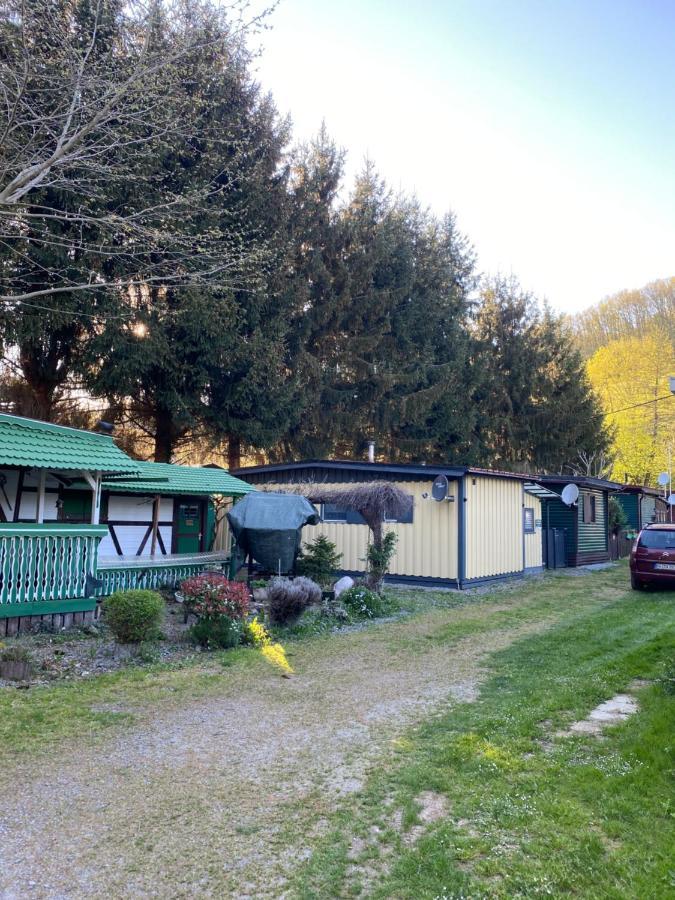 S-Chalet Camping Mit Comfort Im Schwarzwald Steinach  Eksteriør billede