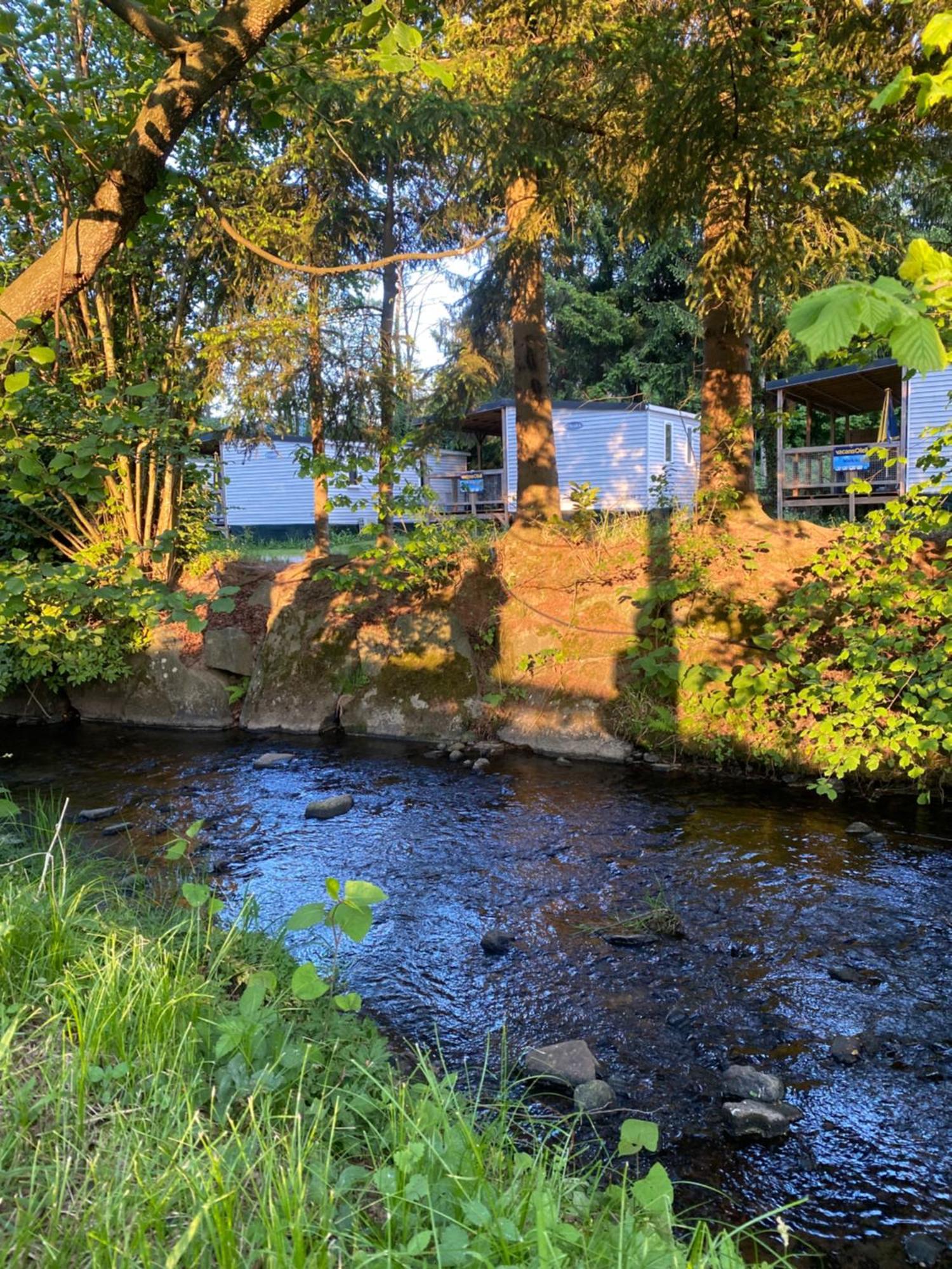 S-Chalet Camping Mit Comfort Im Schwarzwald Steinach  Eksteriør billede